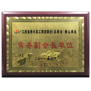 Executive vice president unit